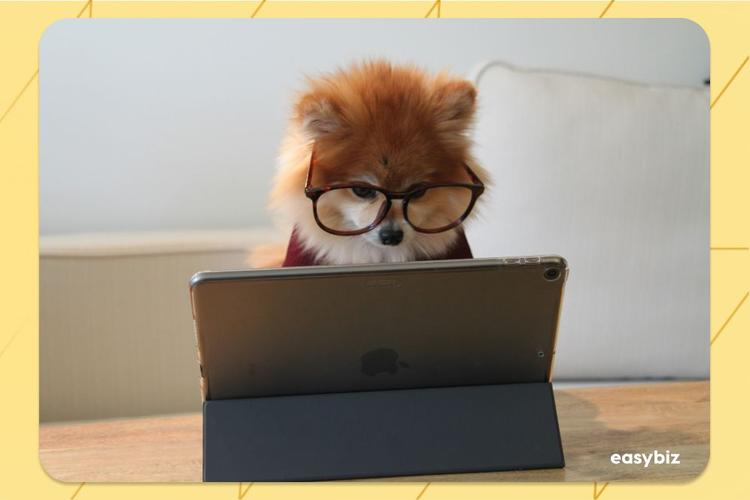 Finding the perfect accountant for your small business